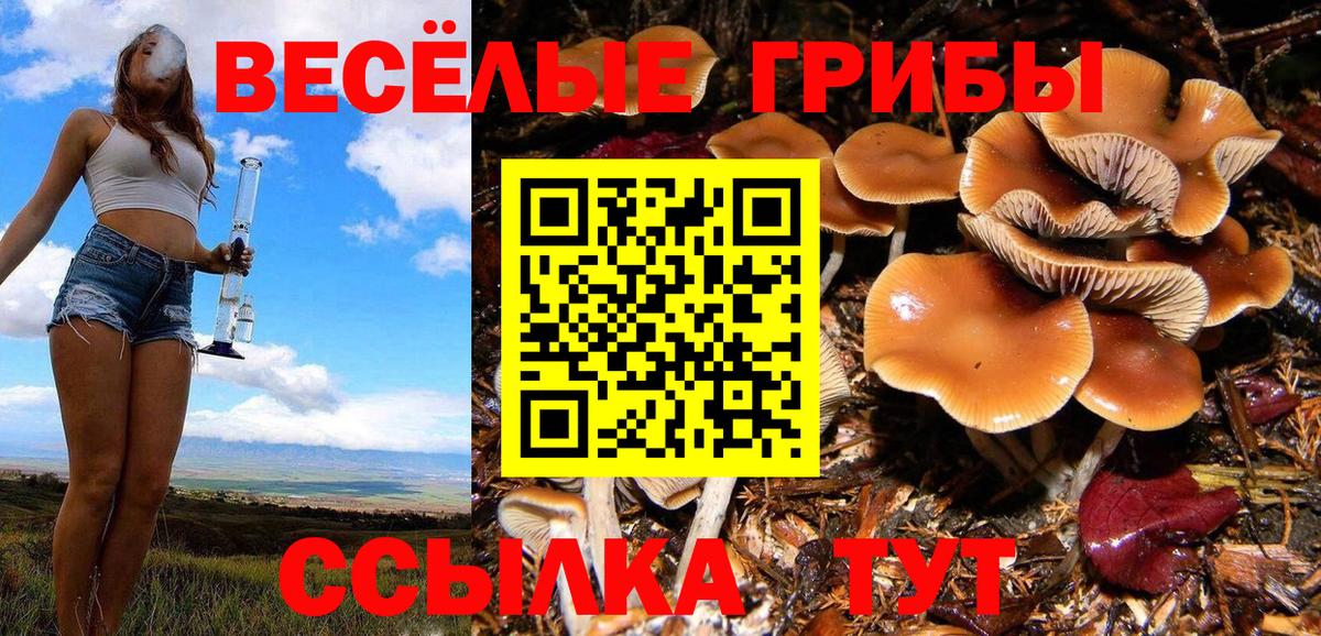 Дятьково  Галлюциногенные грибы ЛСД  Вход с VPN 